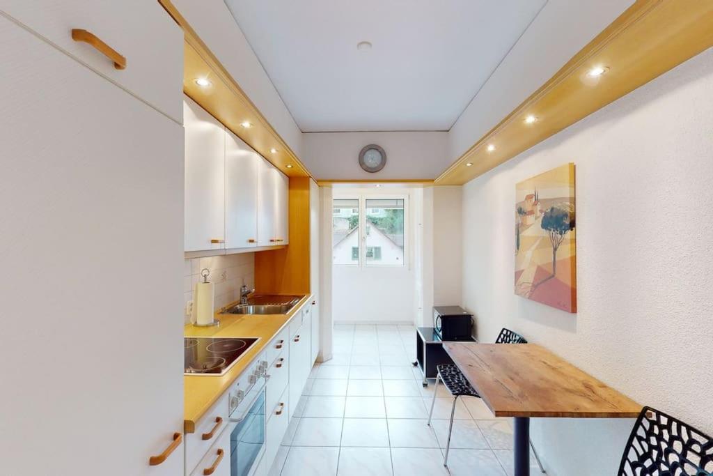 Executive 1 Bedroom Flat, City Center 苏黎世 外观 照片